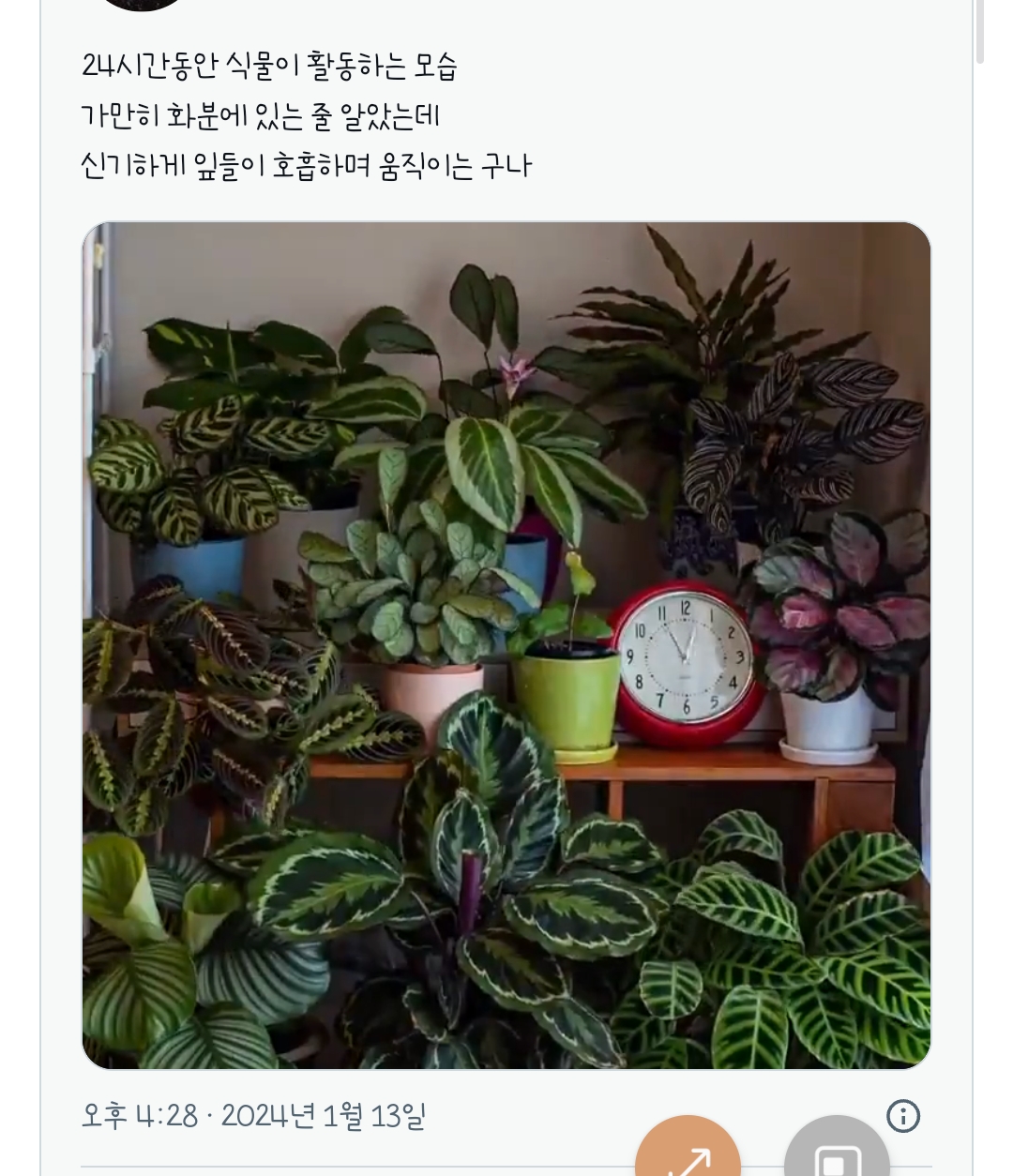 식물이 숨 쉬는 거 봐