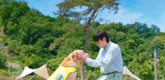 여시가 죽고난후 천국에서 반려동물을 만난다면 무슨얘기를 해줄거야? | 인스티즈