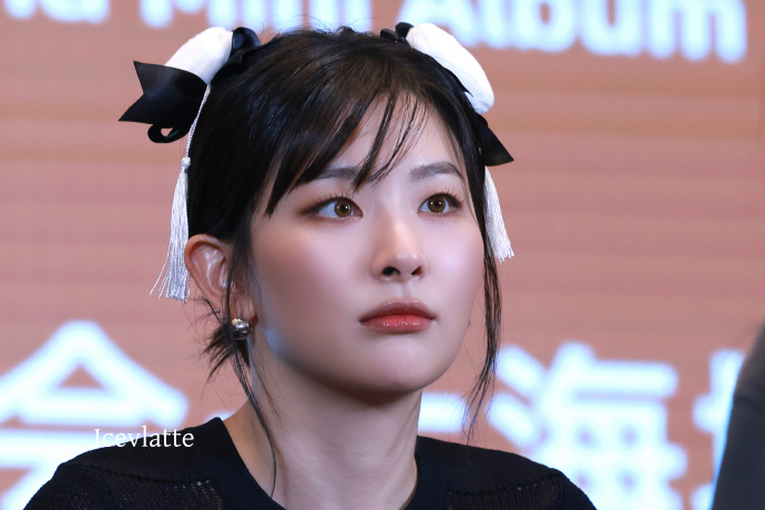  깔끔 그 자체라는 레드벨벳 슬기 중국 팬싸 얼굴