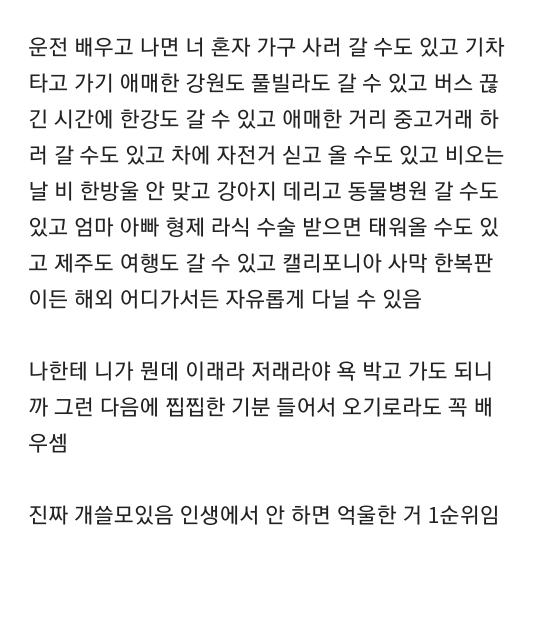 얘들아 근데 운전 꼭 배우셈 특히 20대 중반인 애들아 | 인스티즈