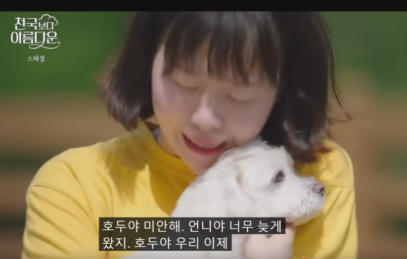 여시가 죽고난후 천국에서 반려동물을 만난다면 무슨얘기를 해줄거야? | 인스티즈