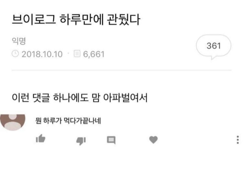  브이로그 하루만에 관뒀다
