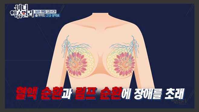 [바디 액츄얼리] 브래지어가 여성의 몸에 미치는 영향 (브라VS노브라) | 인스티즈