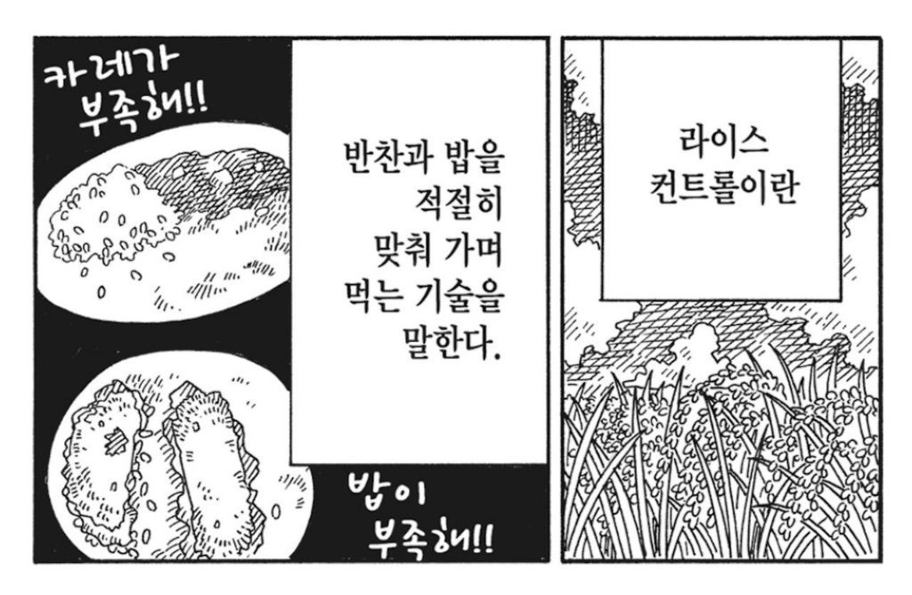  라이스 컨트롤이란