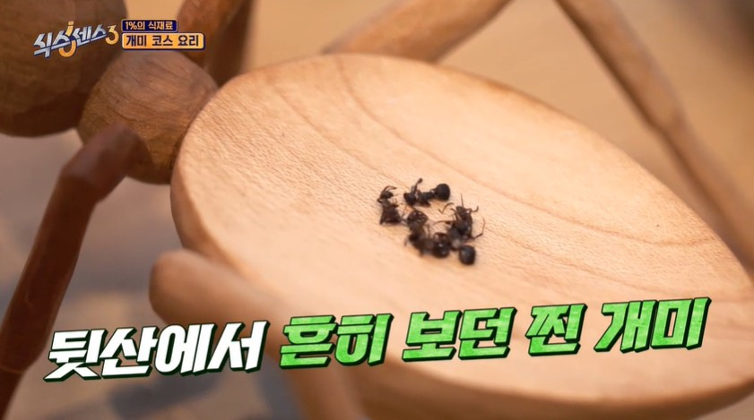 흑백요리사 조셉 세프가 운영하는 파인다이닝 개미 아이스크림 | 인스티즈