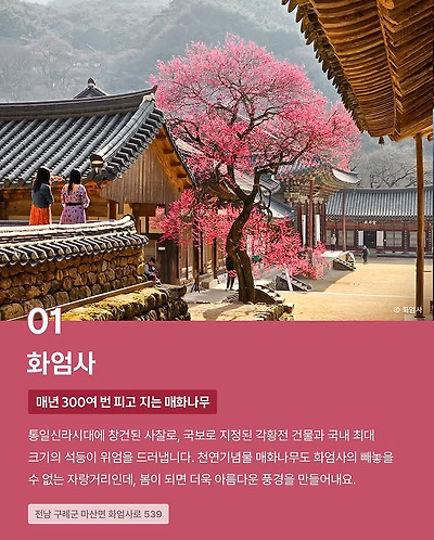 CNN이 선정한 한국의 아름다운 사찰 10곳 | 인스티즈