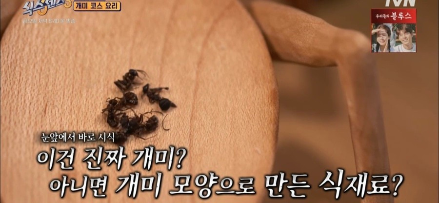 흑백요리사 조셉 세프가 운영하는 파인다이닝 개미 아이스크림 | 인스티즈