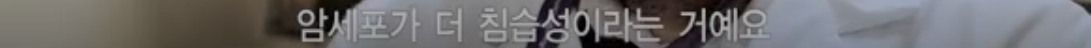 [충격] 전자담배는 충분히 해로움 | 인스티즈