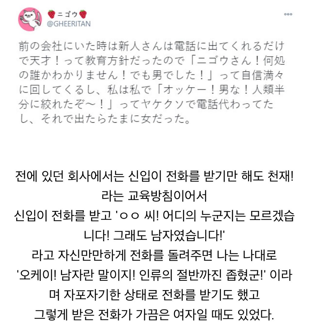  신입 사원을 오냐오냐 해주는 회사4