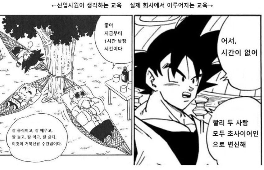 직장 신입이 느끼는 교육.. 상상 vs 현실