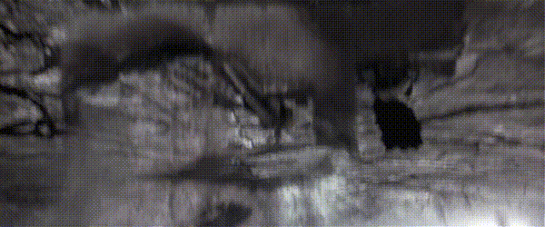 매트릭스3: 레볼루션 명장면 시온 방어전.gif | 인스티즈