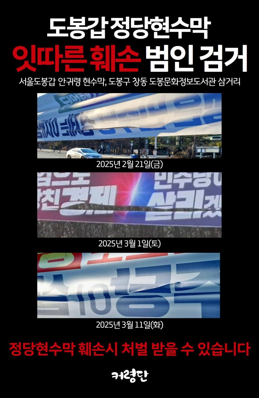 다음 도봉구 국회의원은 막둥이면 좋겠음 | 인스티즈