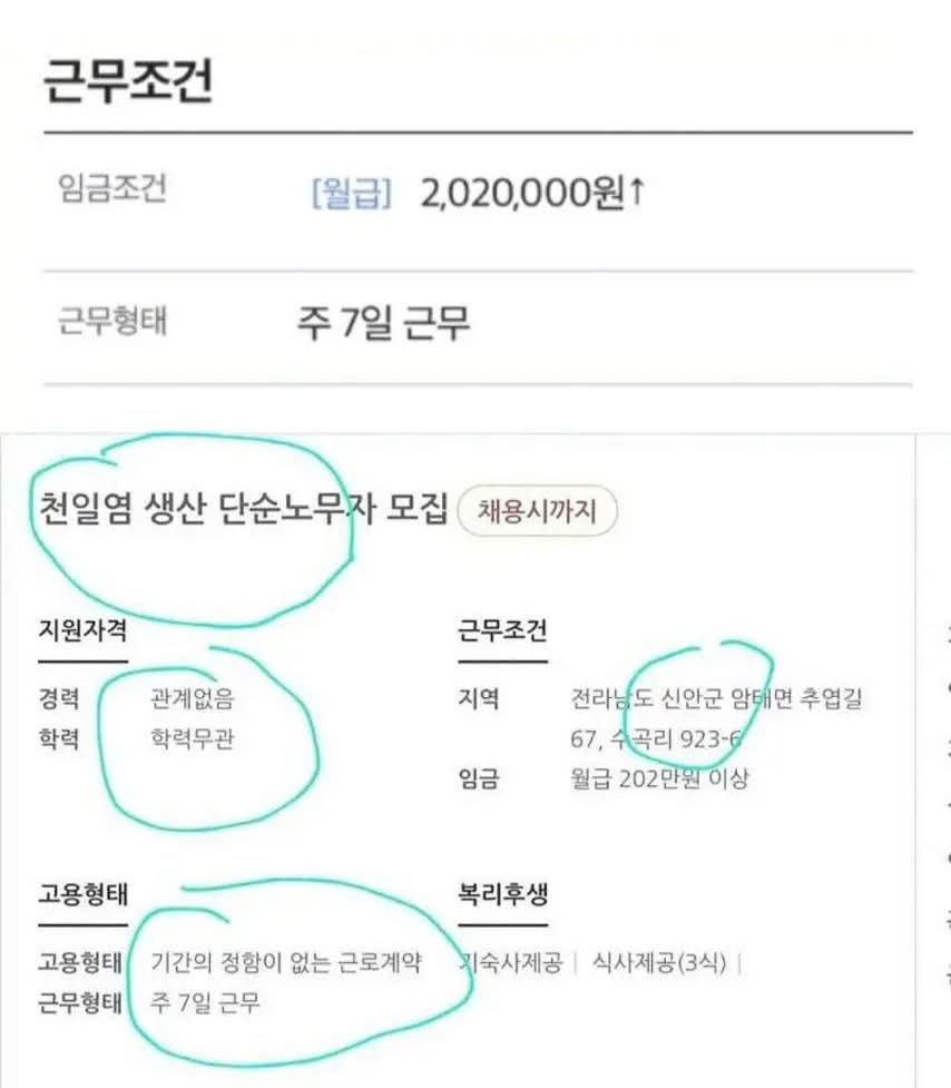  주 7일에 202만원 준다는 근무지