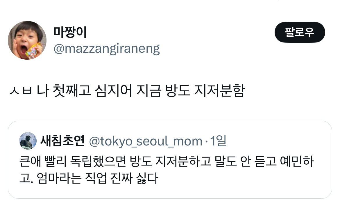 큰애 빨리 독립했으면 방도 지저분하고 말도 안 듣고 예민하고. 엄마라는 직업 진짜 싫다.twt | 인스티즈