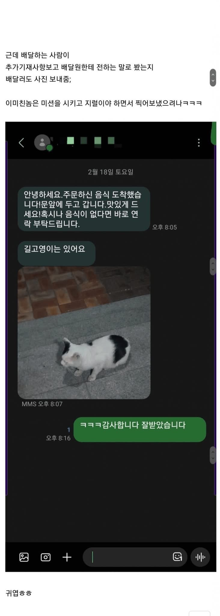 배달시켜먹다 겪은 귀여운 고양이썰 | 인스티즈