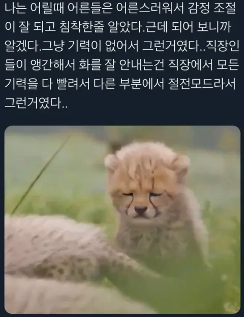  예전에 어른들이 침착했었던 이유