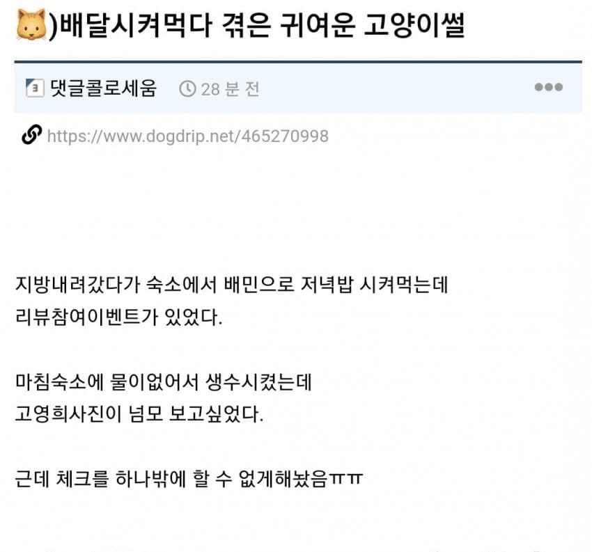  배달시켜먹다 겪은 귀여운 고양이썰