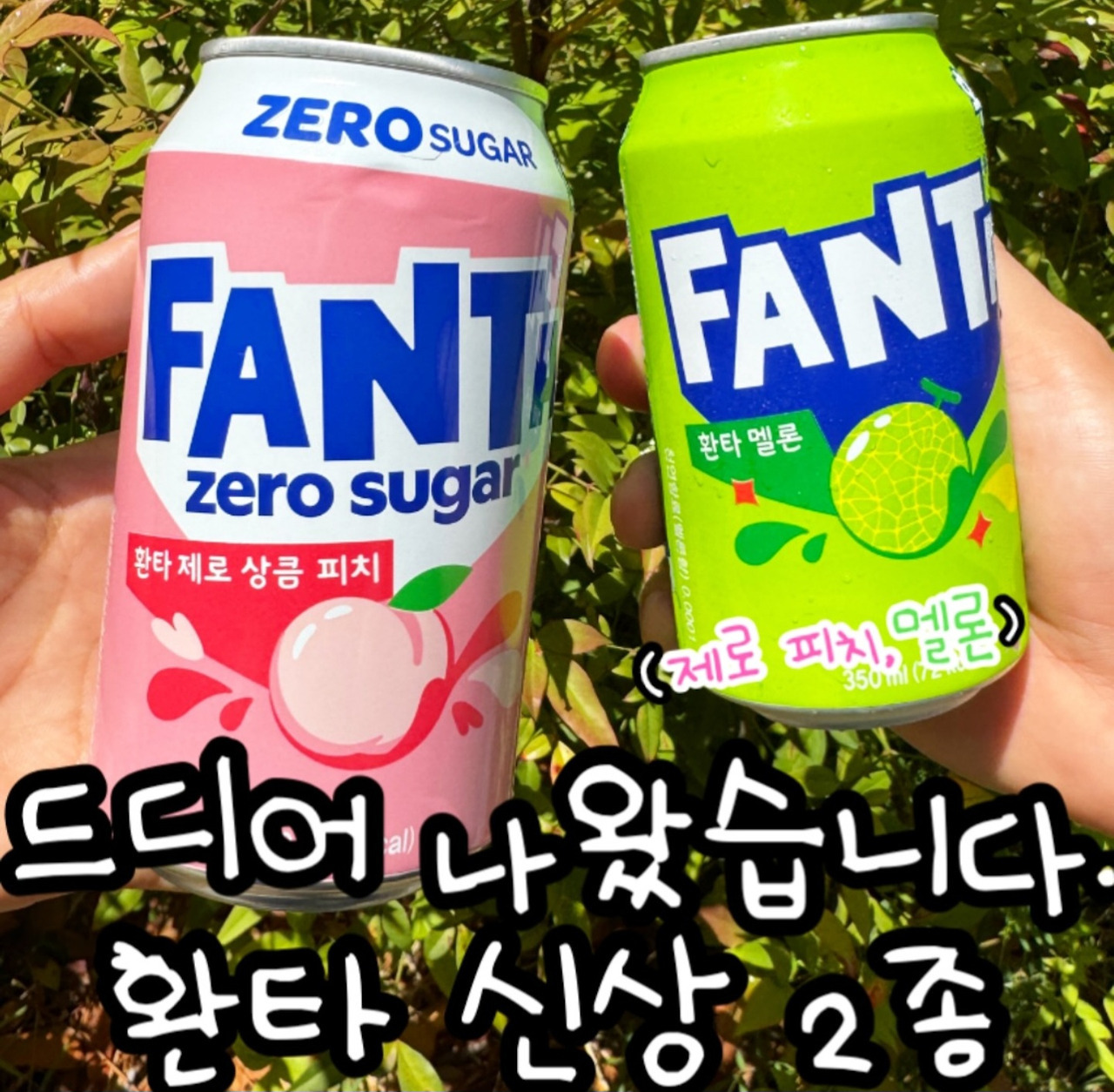 환타 신상 2종