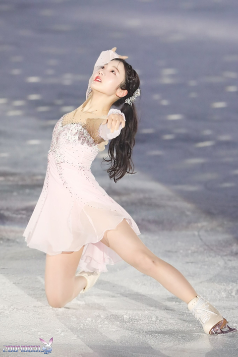  추구미 사진 올리는달글
