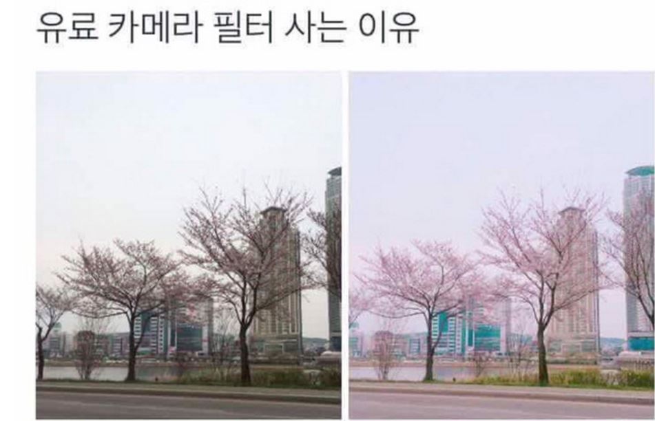 9n년생인 내가쓰던 라떼 사진어플들 | 인스티즈