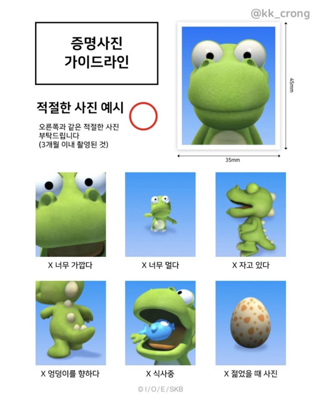  크롱이가 알려주는 증명서진 가이드라인!1