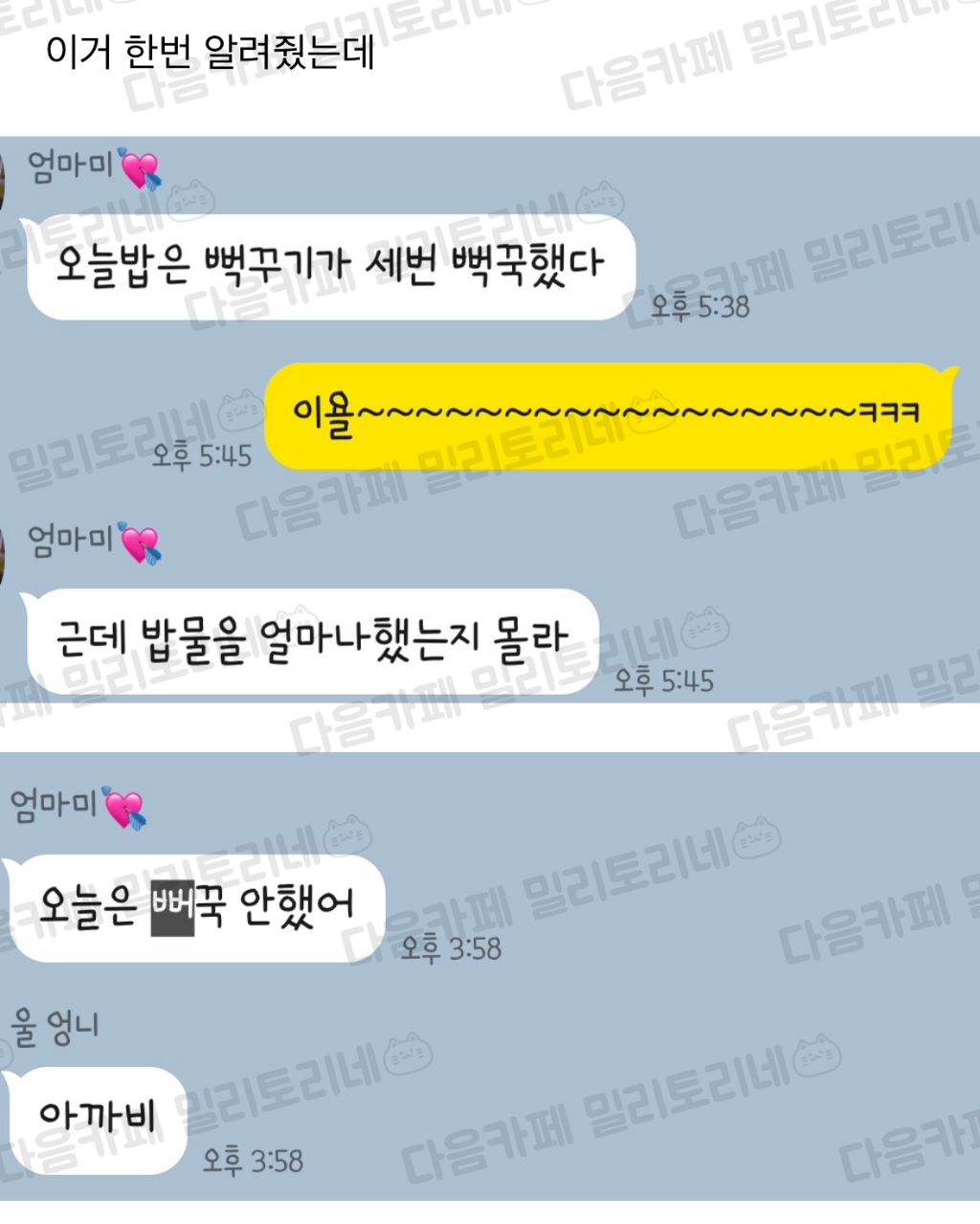 5월 8일 특집, 이 글을 보면 어머니께 사랑한다 연락하기 "엄마 냥텐츠 모음" | 인스티즈