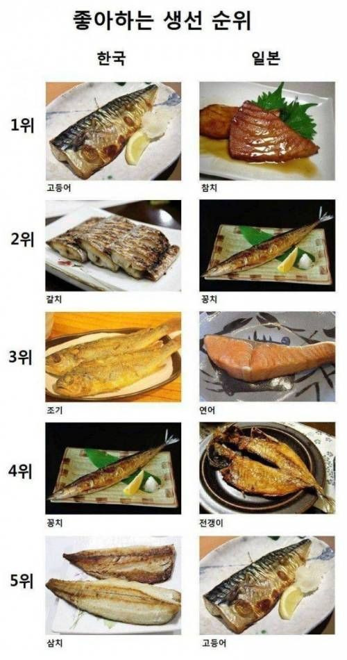  한국과 일본의 생선요리 선호 순위
