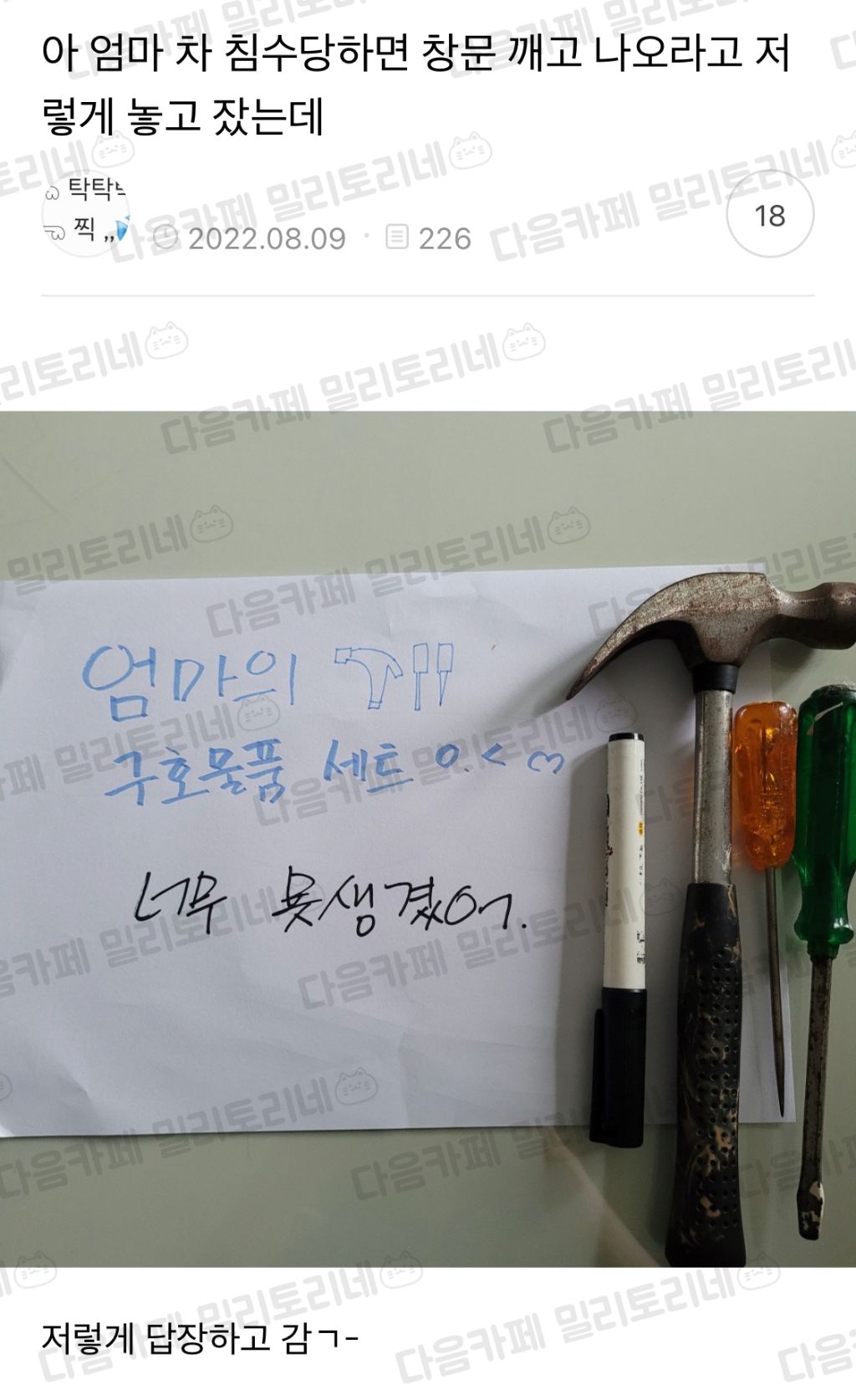5월 8일 특집, 이 글을 보면 어머니께 사랑한다 연락하기 "엄마 냥텐츠 모음" | 인스티즈