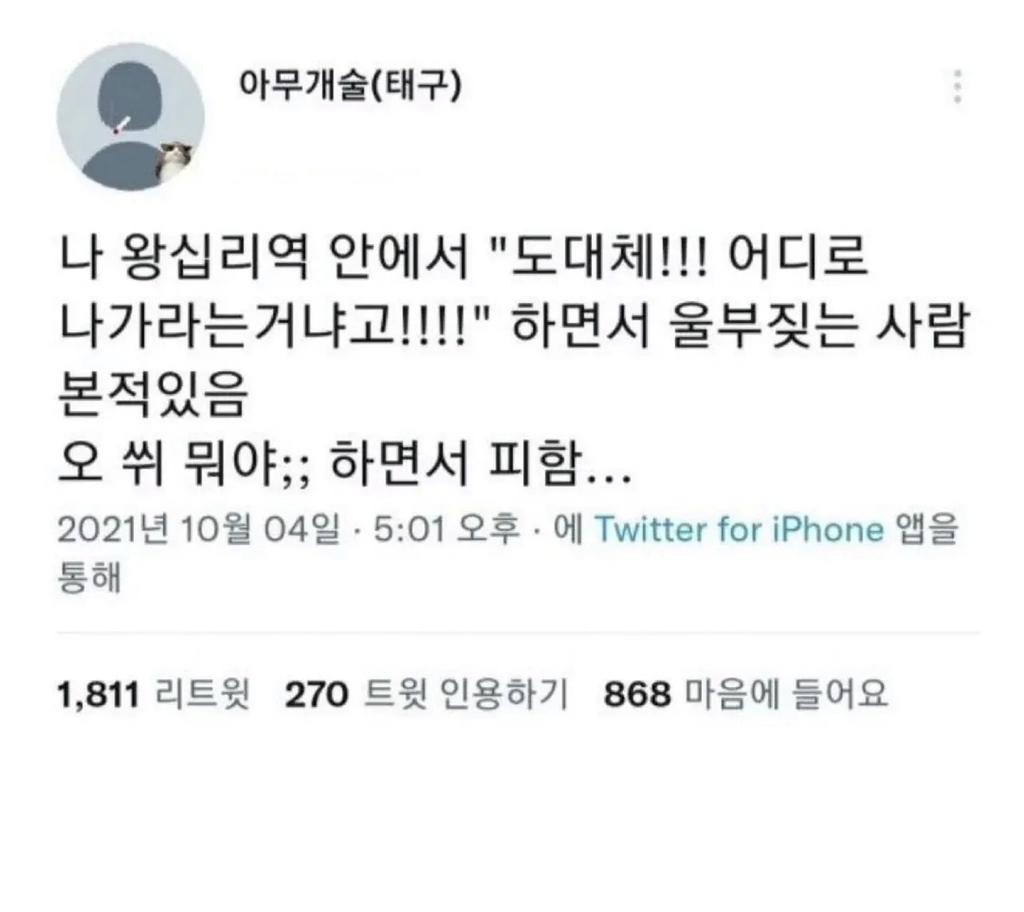 나 왕십리역 안에서 울부짖는 사람 본적있음