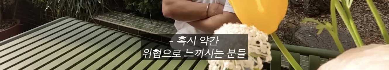 정재형이 리트리버에게 악세사리를 착용해주는 이유 | 인스티즈