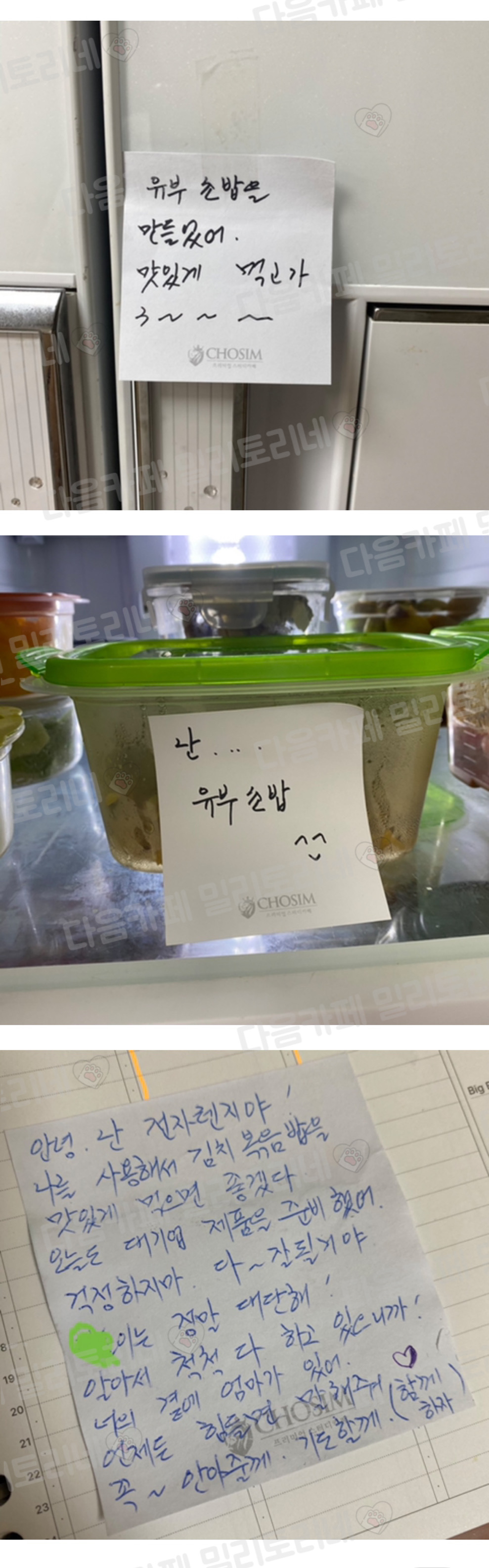 5월 8일 특집, 이 글을 보면 어머니께 사랑한다 연락하기 "엄마 냥텐츠 모음" | 인스티즈