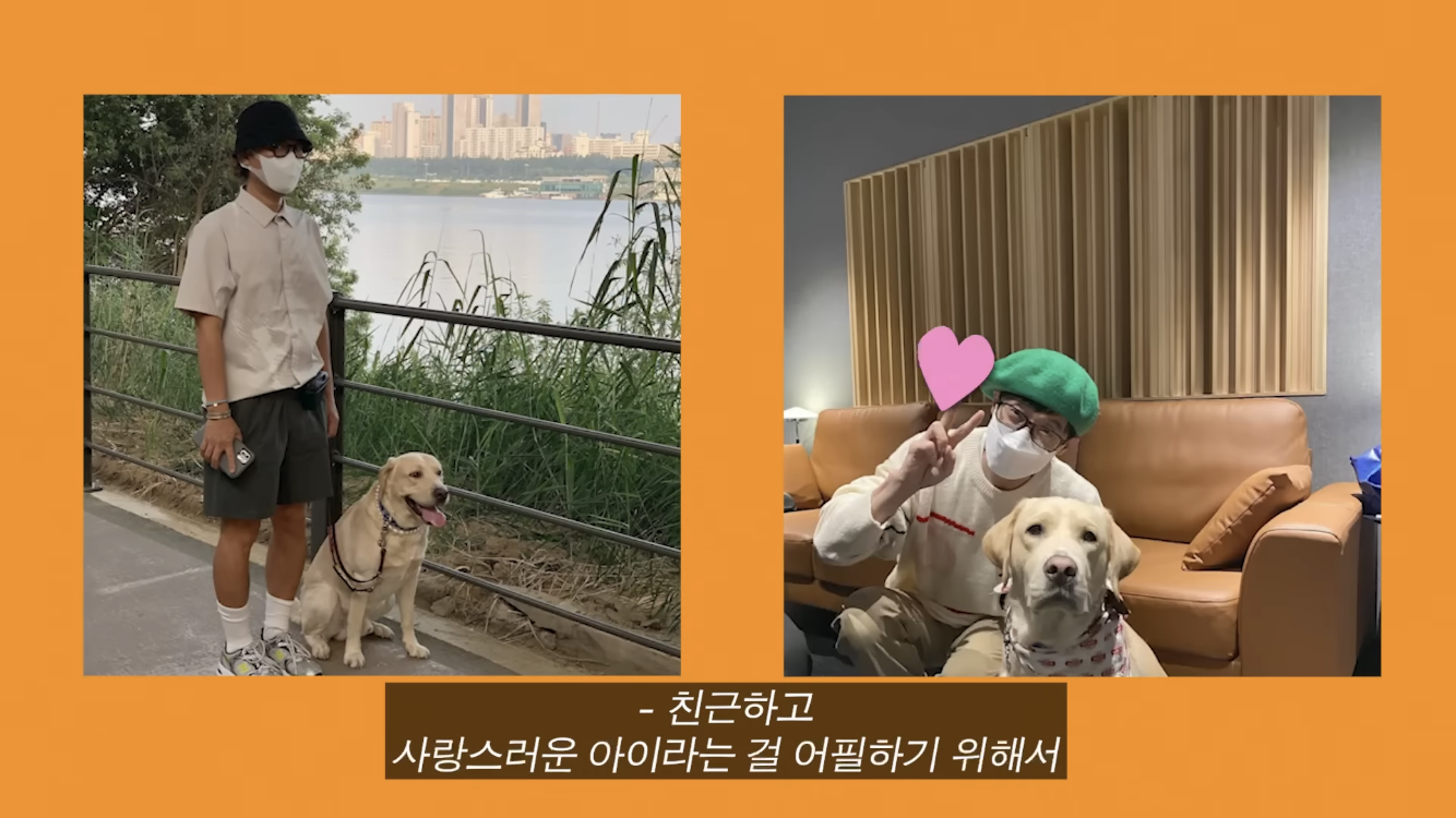 정재형이 리트리버에게 악세사리를 착용해주는 이유 | 인스티즈