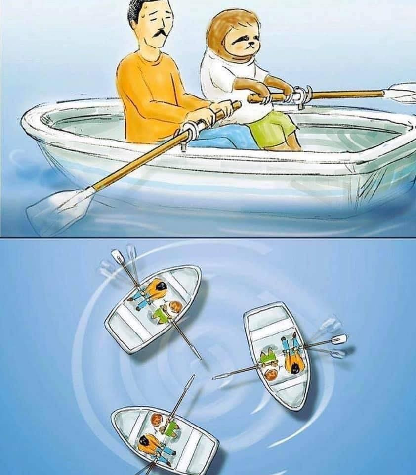 느려서 슬픈 나무늘보 이야기 | 인스티즈