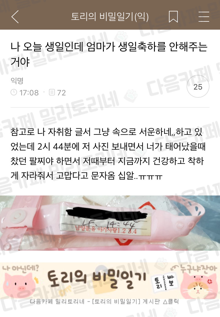 5월 8일 특집, 이 글을 보면 어머니께 사랑한다 연락하기 "엄마 냥텐츠 모음" | 인스티즈