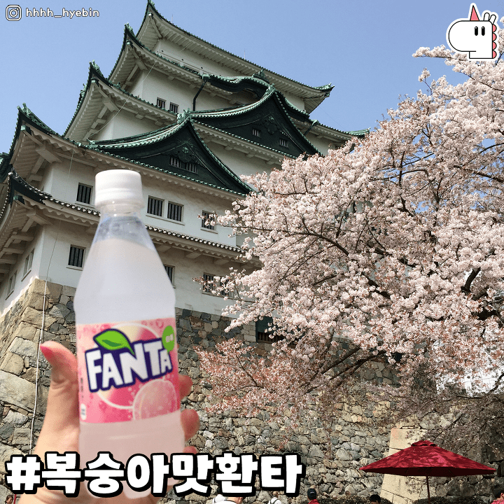 국내도입이 시급한 간식 | 인스티즈