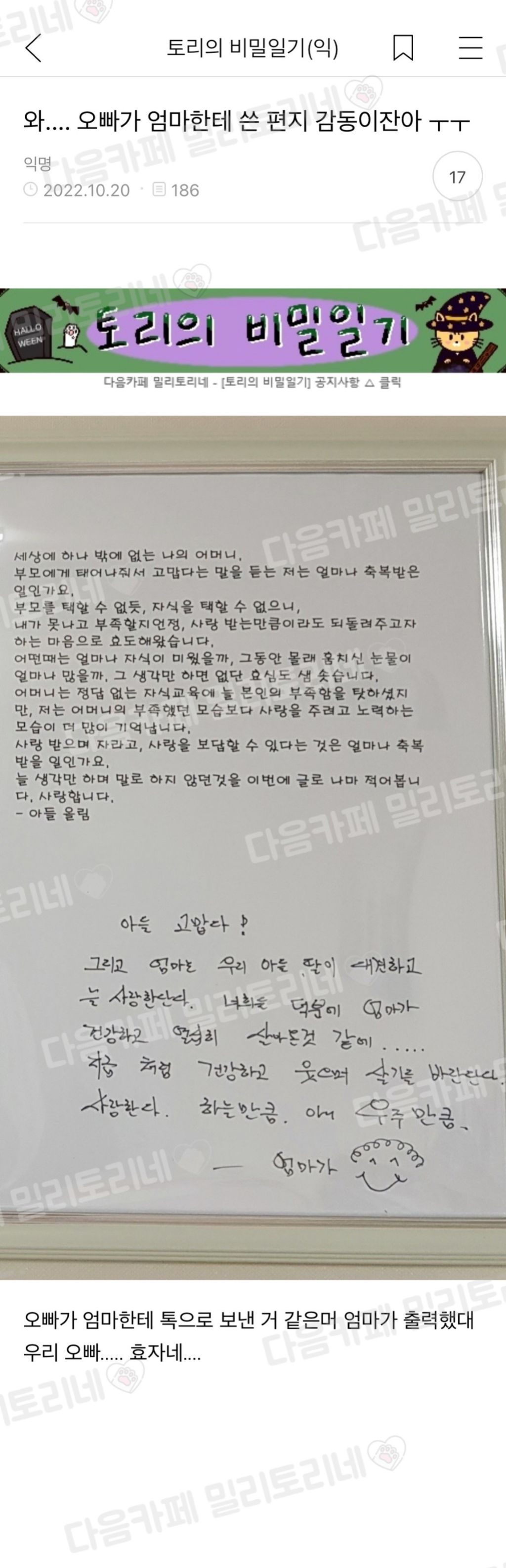 5월 8일 특집, 이 글을 보면 어머니께 사랑한다 연락하기 "엄마 냥텐츠 모음" | 인스티즈