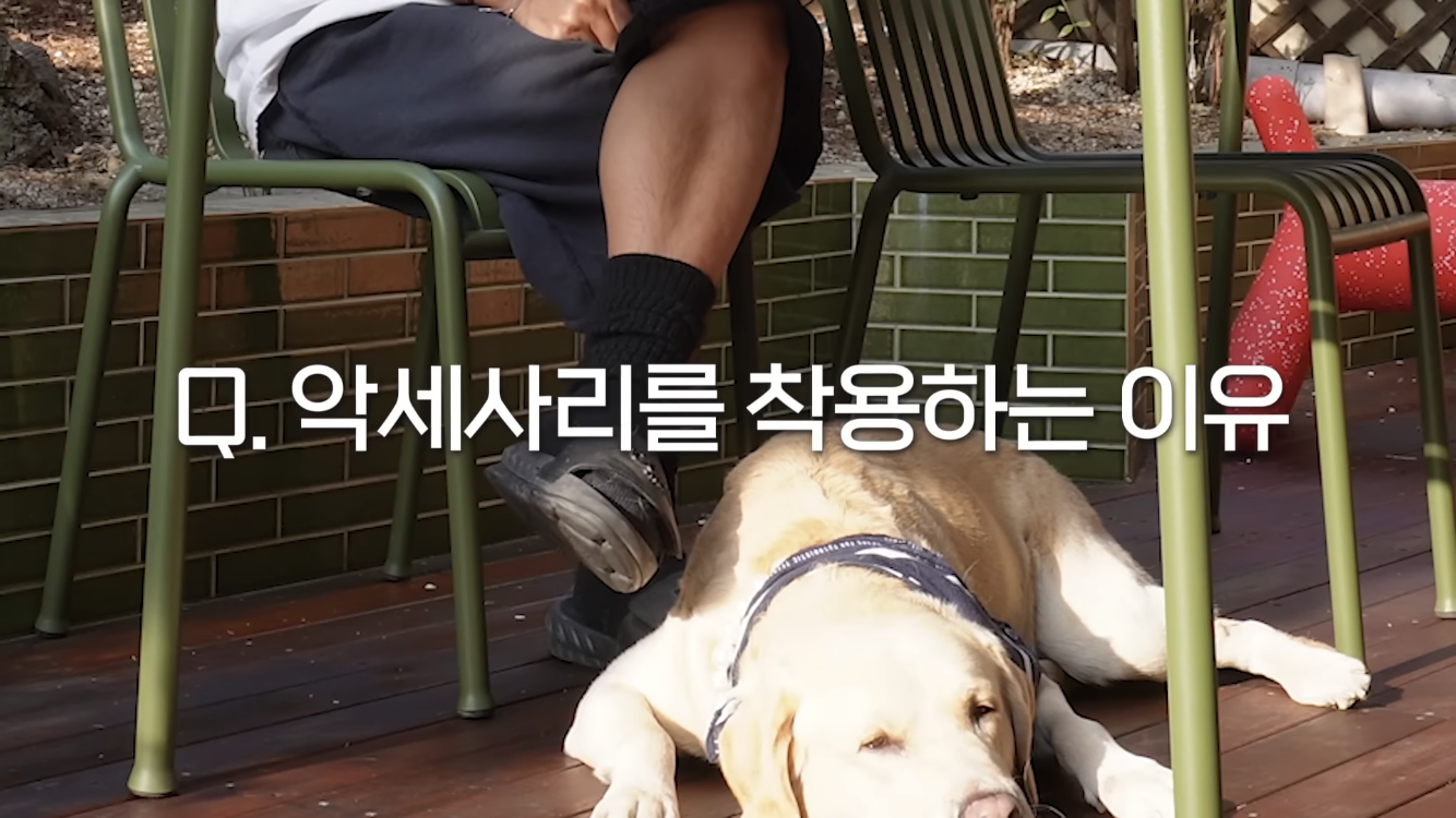 정재형이 리트리버에게 악세사리를 착용해주는 이유