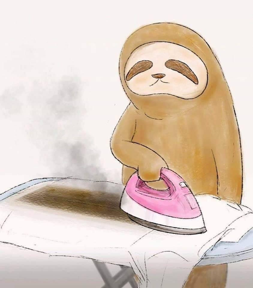느려서 슬픈 나무늘보 이야기 | 인스티즈