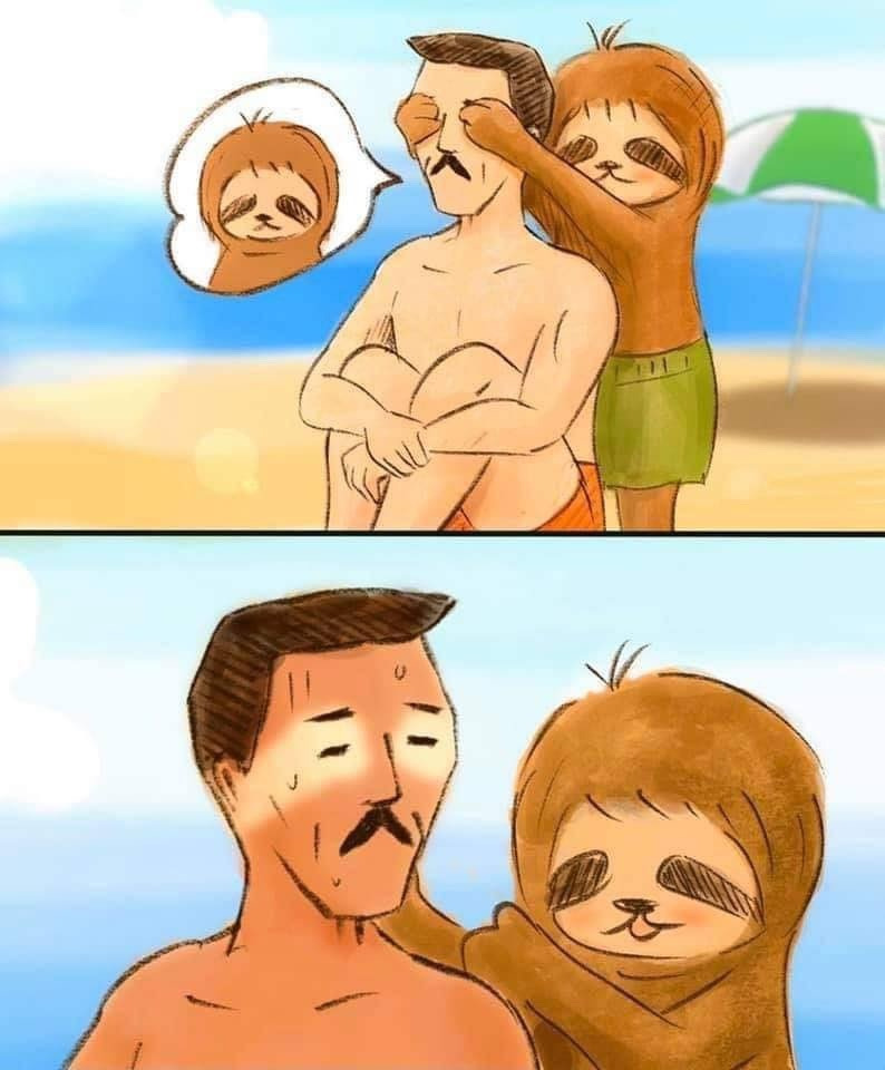  느려서 슬픈 나무늘보 이야기