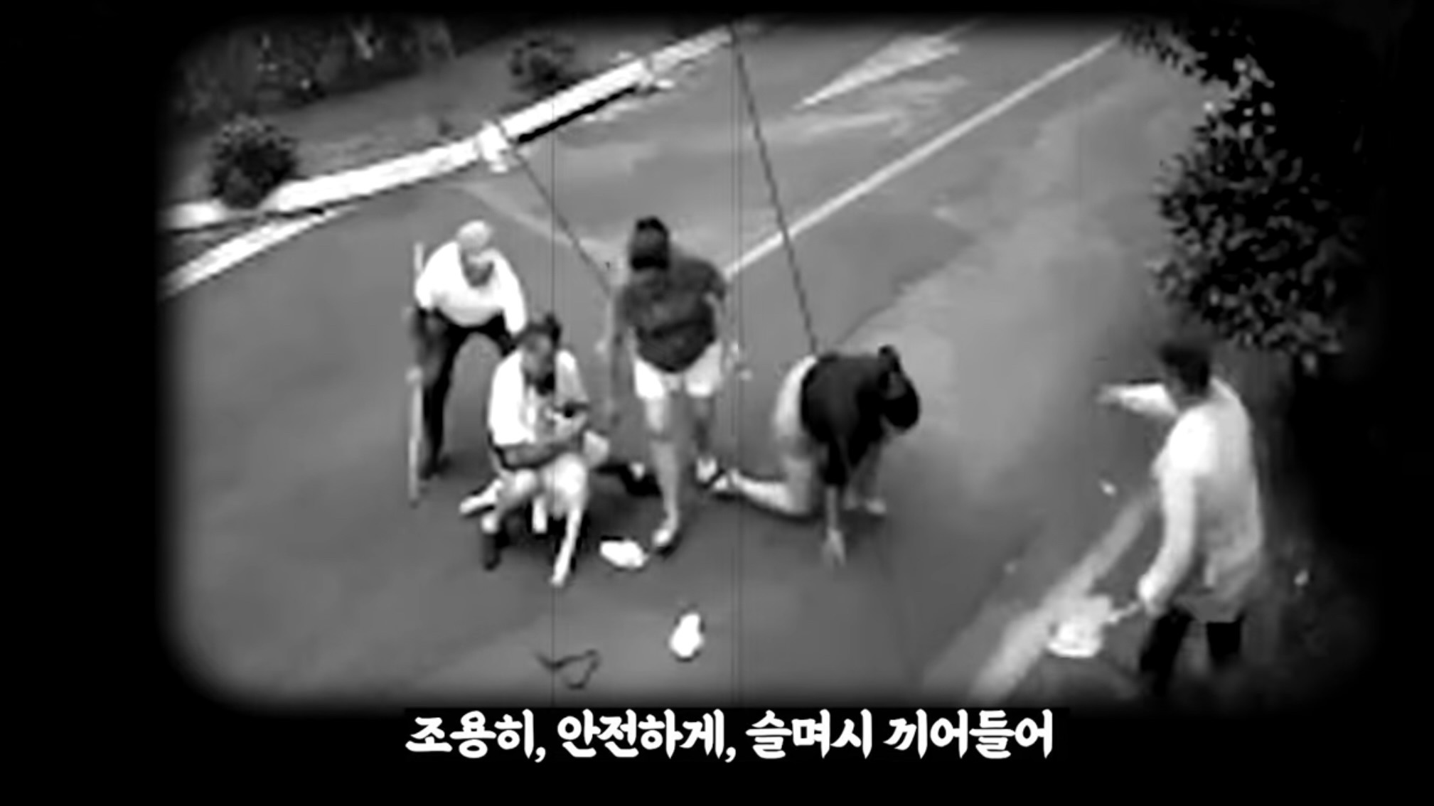 개물림 사고시 가장 효과적인 대처법이라는 백초크 | 인스티즈