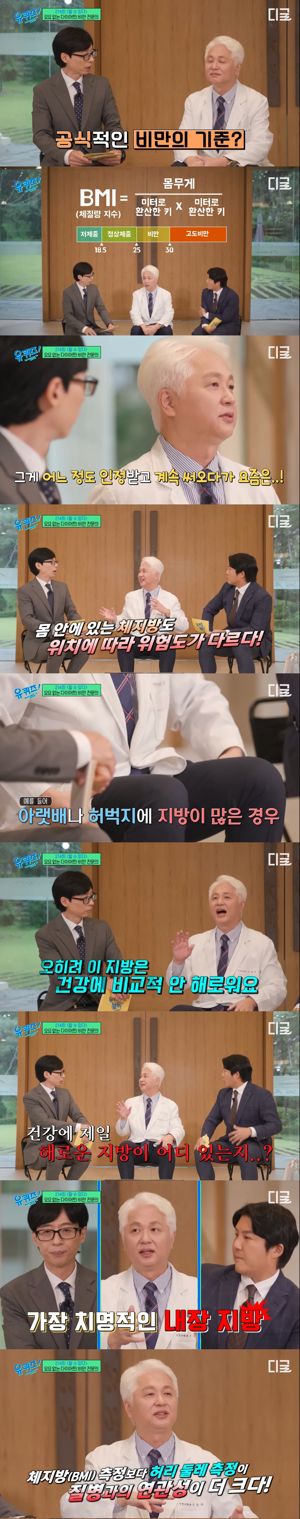 의사들 : 팔다리 지방은 비교적 안 해롭고 복부 지방은 심각하게 해롭다.jpg | 인스티즈