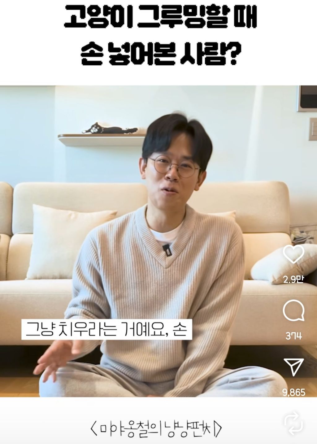 고양이 집사들이 애써 외면한다는 사실 | 인스티즈