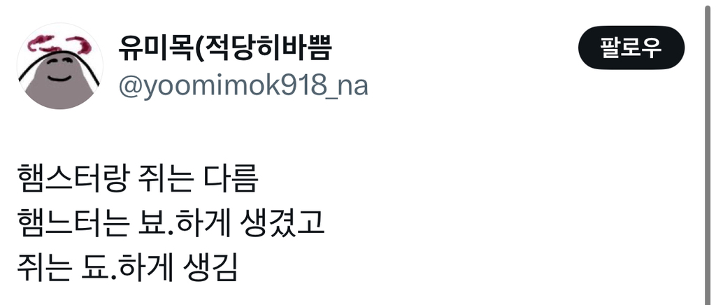  햄스터랑 쥐는 다름