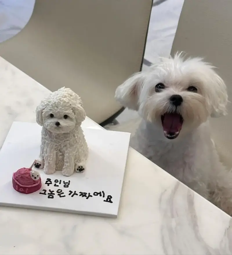  주인님 그놈은 가짜예요1