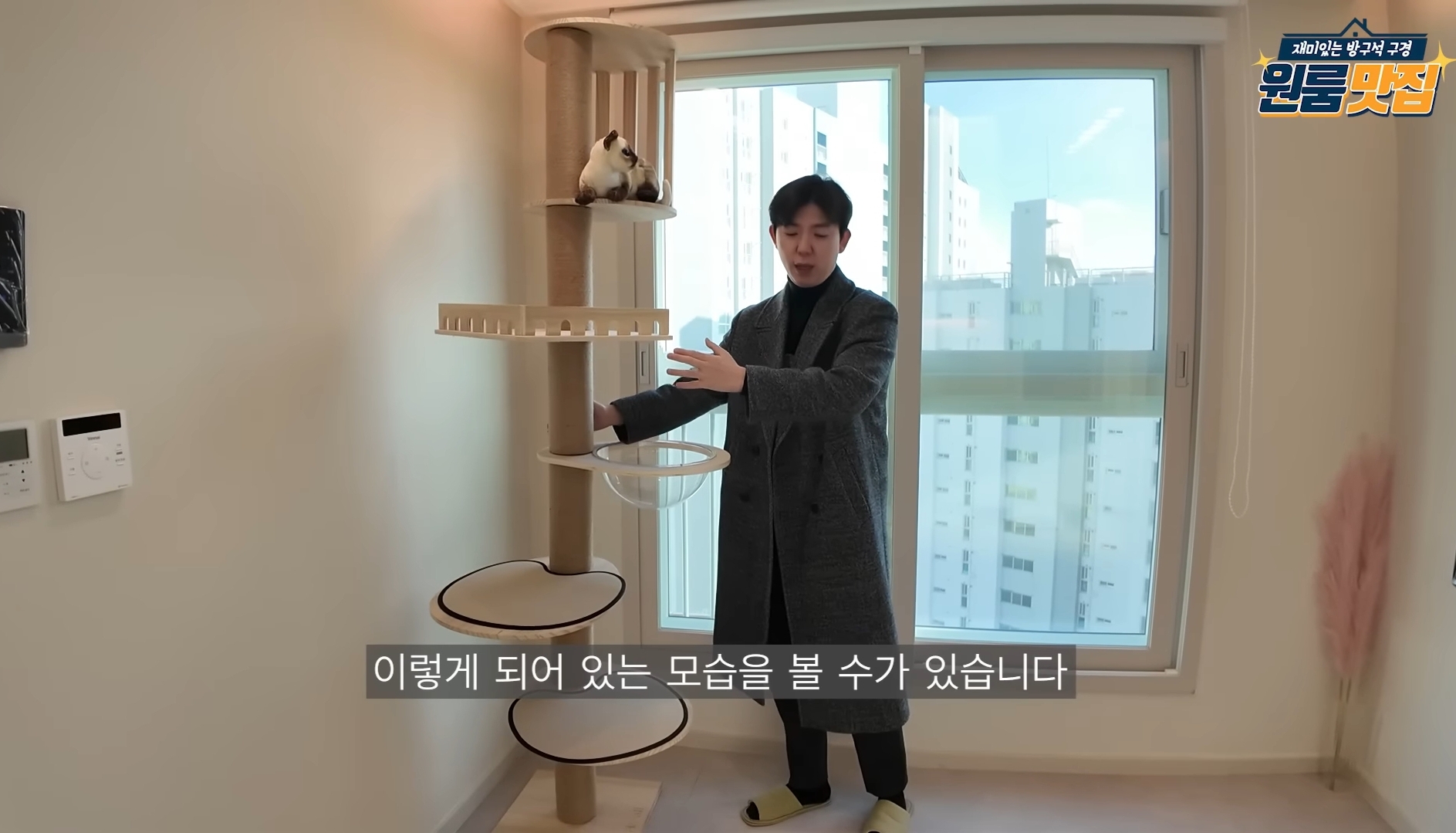 동물 안 키우면 입주 불가 반려동물을 위한 오피스텔.jpg | 인스티즈