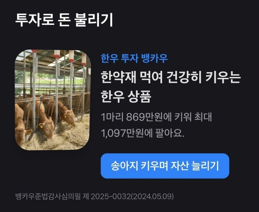 요즘 토스 근황 | 인스티즈