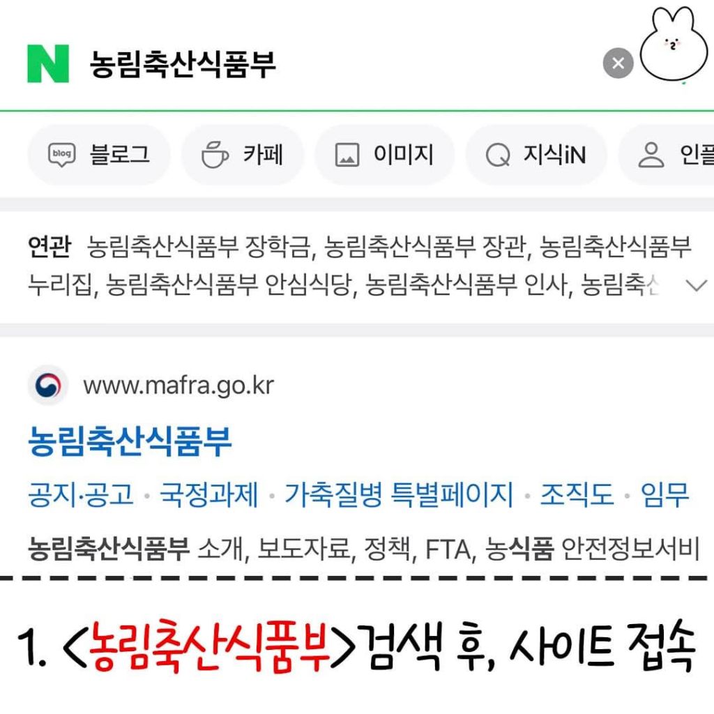 동물병원 호구 안 당하는 꿀팁 | 인스티즈