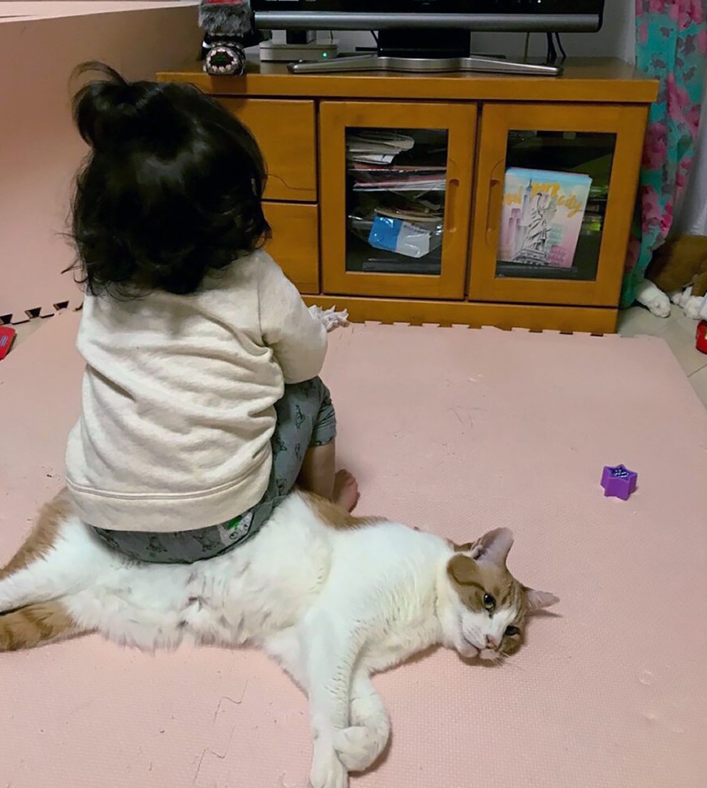  서열정리당한 고영희