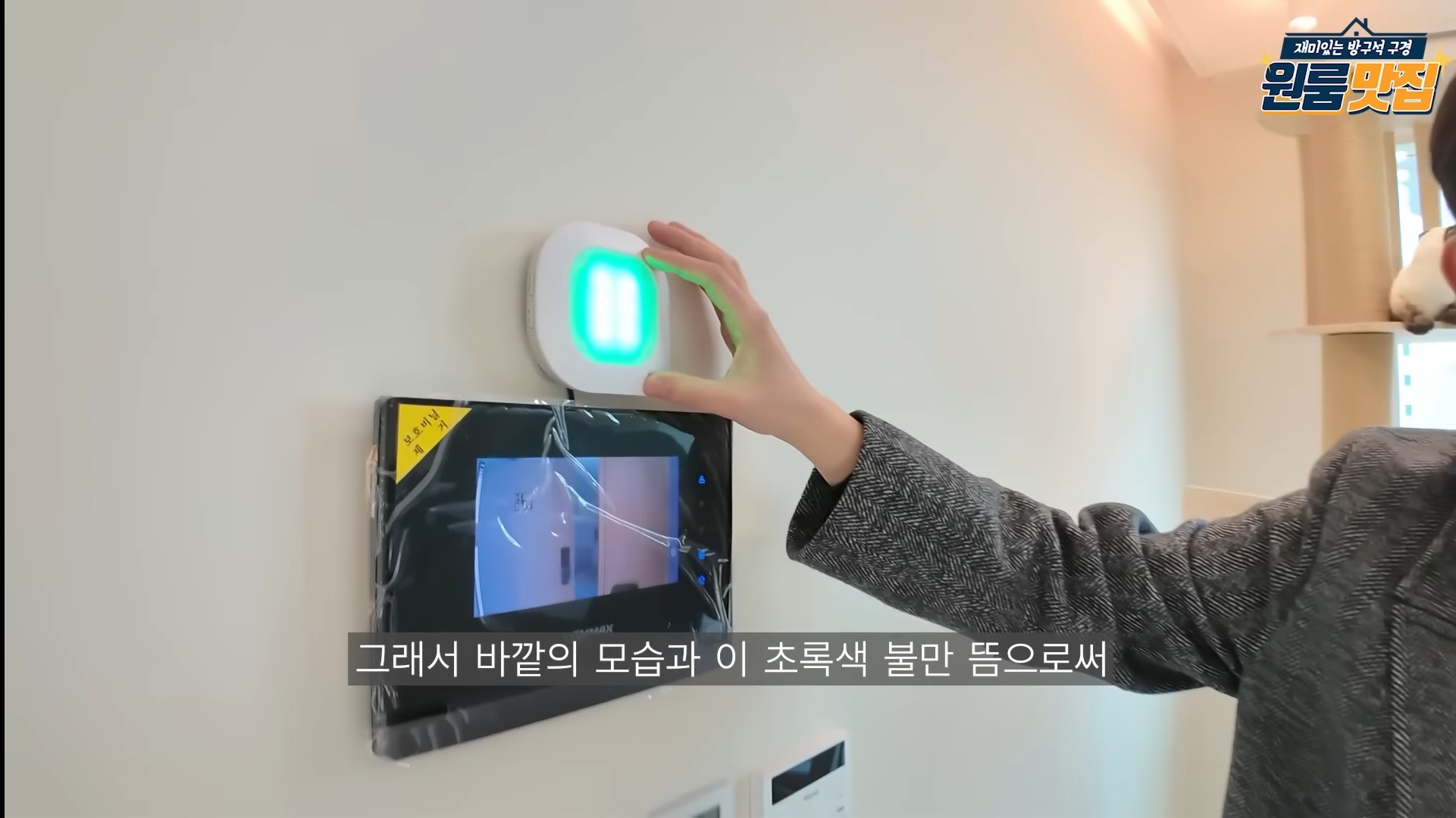 동물 안 키우면 입주 불가 반려동물을 위한 오피스텔.jpg | 인스티즈