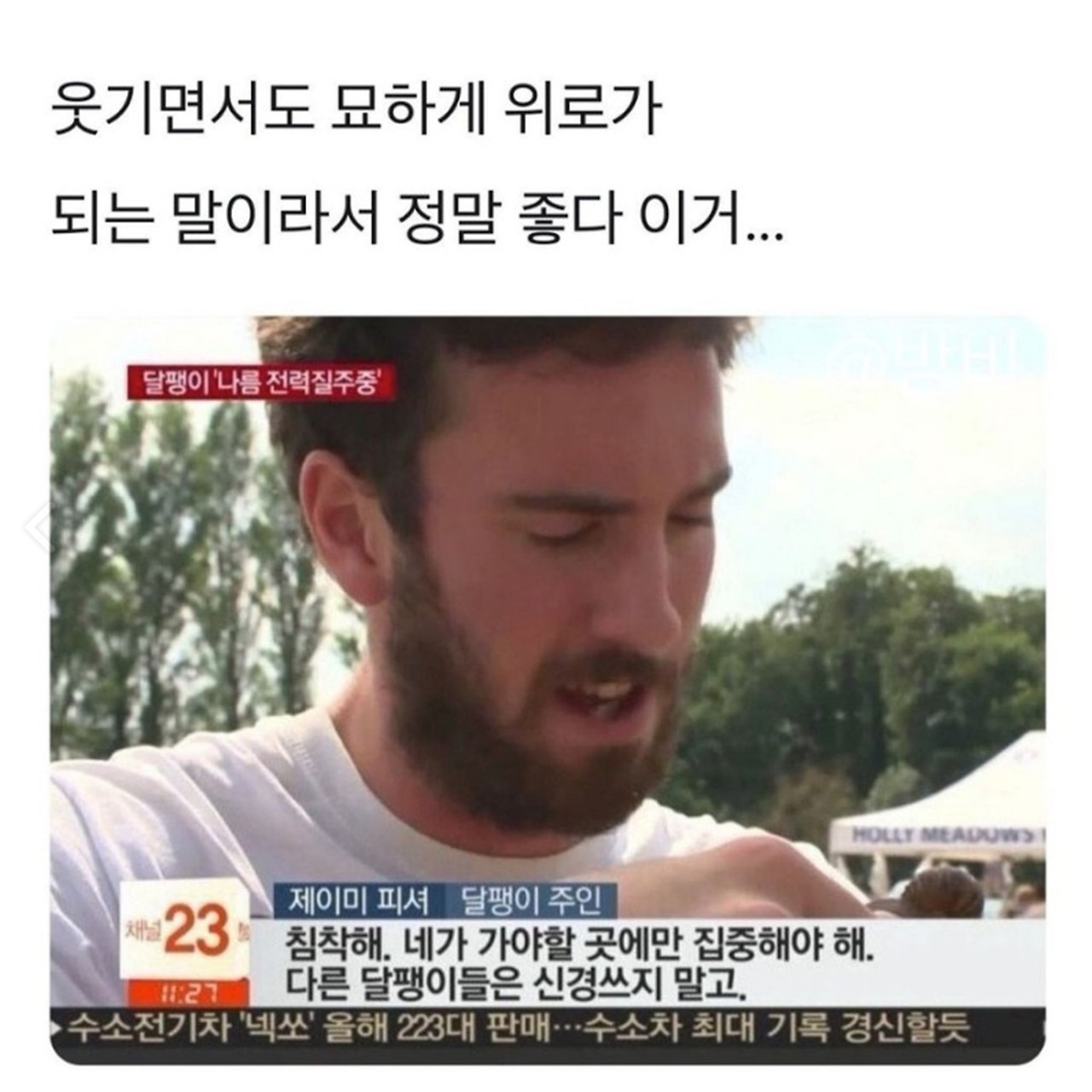 수요일에 쉬면 좋은점 | 인스티즈